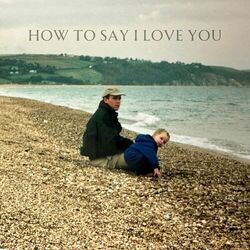 Cover of How to Say I Love You