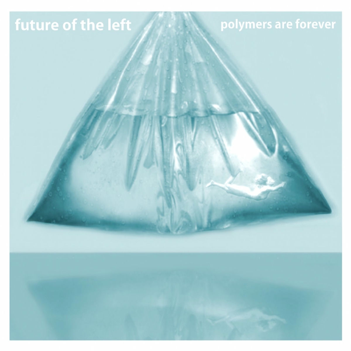 Album cover of Polymers Are Forever