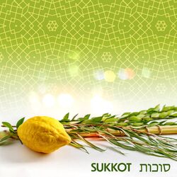 Cover of סוכות Sukkot: Worship & Prayer Music For Sukkot ✡