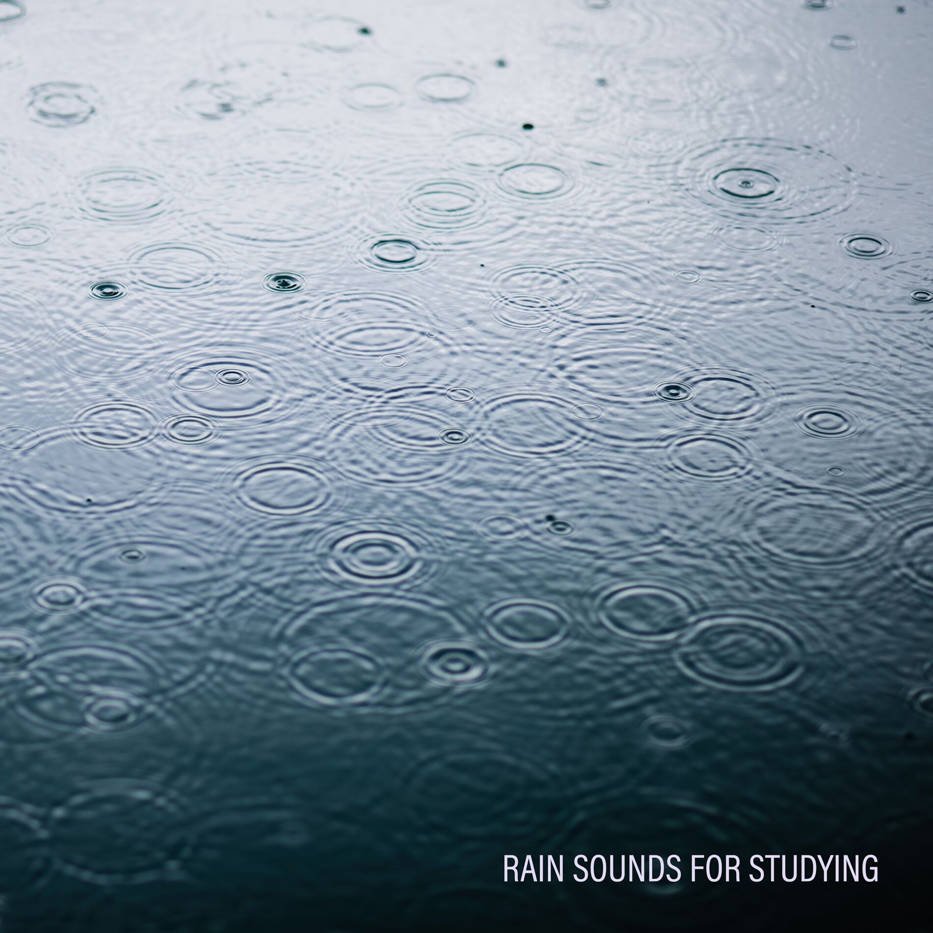 Album cover of Rain Sounds for Studying - Meditation Flute & Piano Music for Study Time and Exam Analysis, Concentration Music for Students