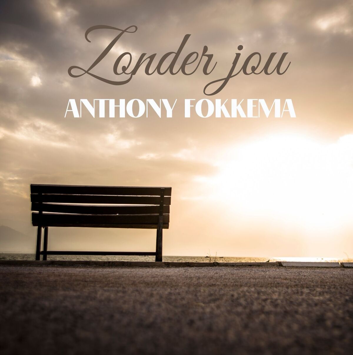 Album cover of Zonder jou