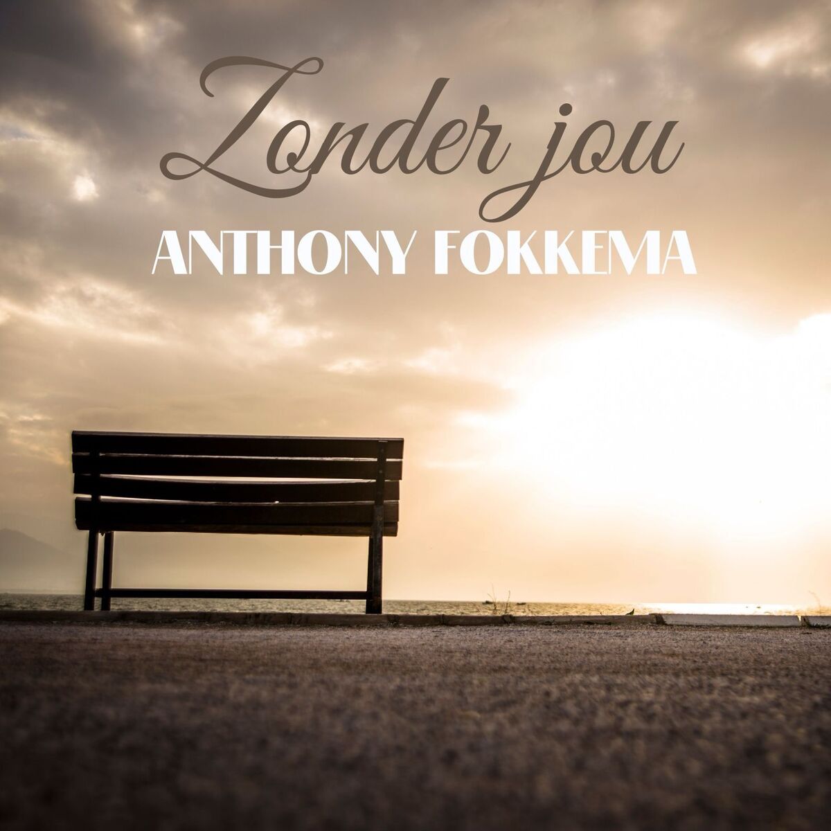 Album cover of Zonder jou