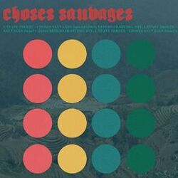Cover of L'épave trouée