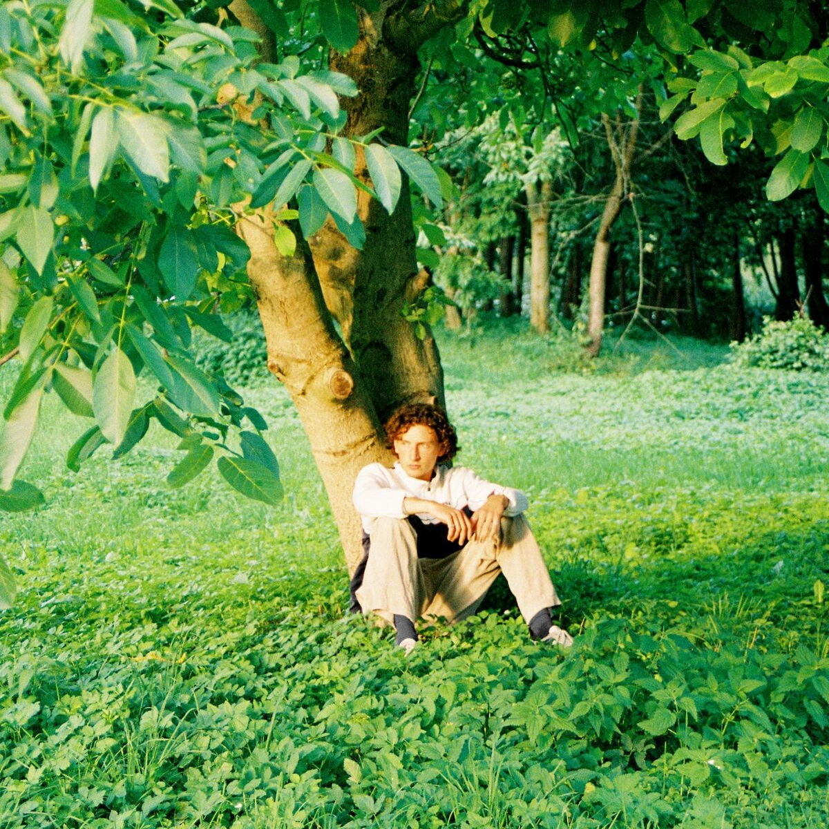 Album cover of Ich Hab Dich