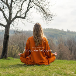 Cover of Estado de Flutuação by undefined