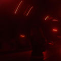 Nightwalker