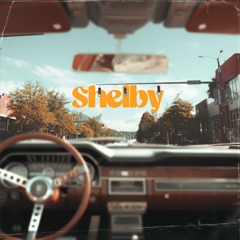 Picture of SHELBY