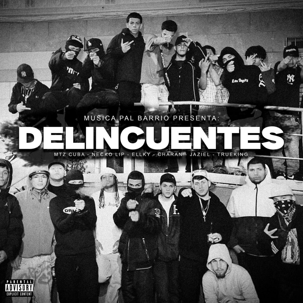 Picture of DELINCUENTES