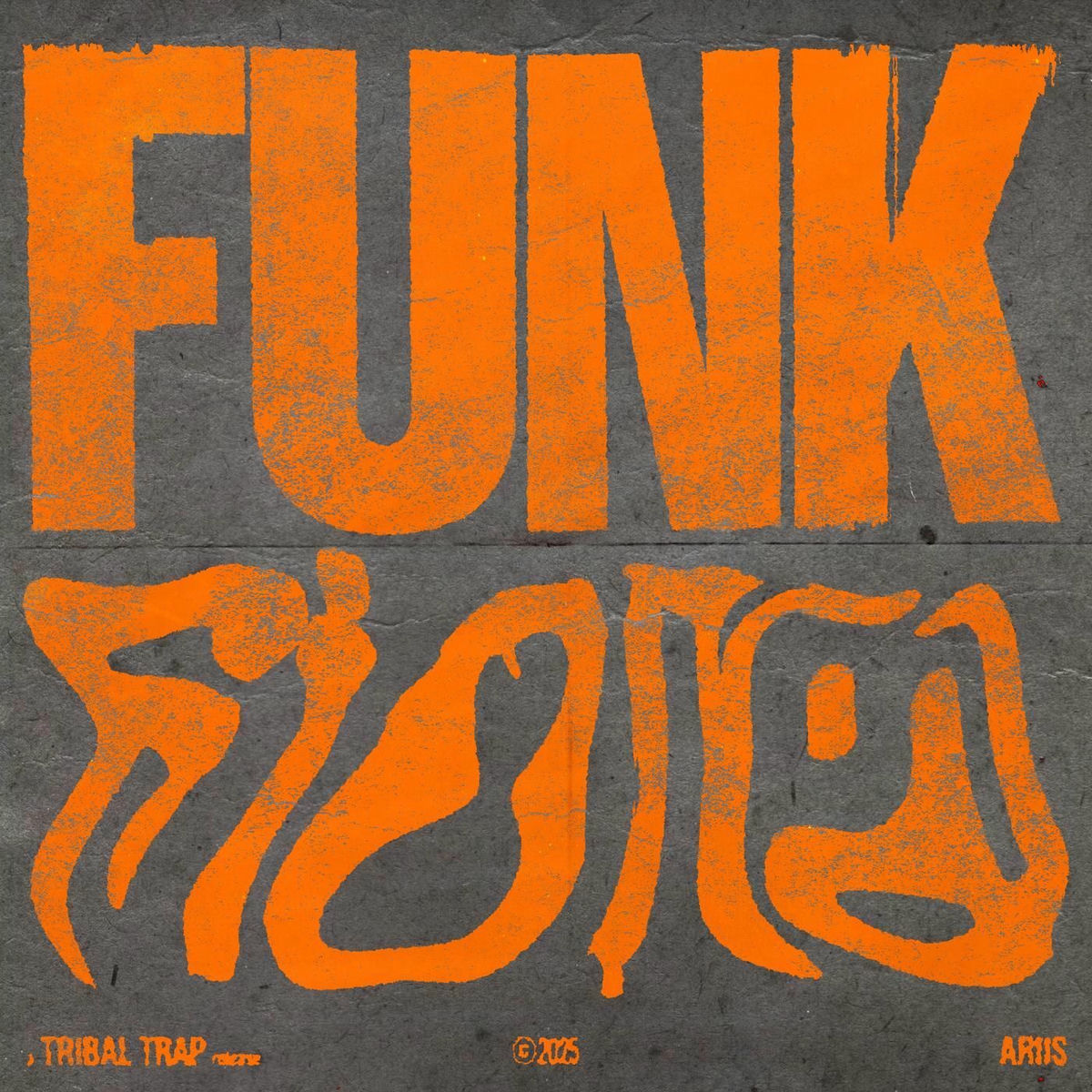 Album cover of FUNK FIONA