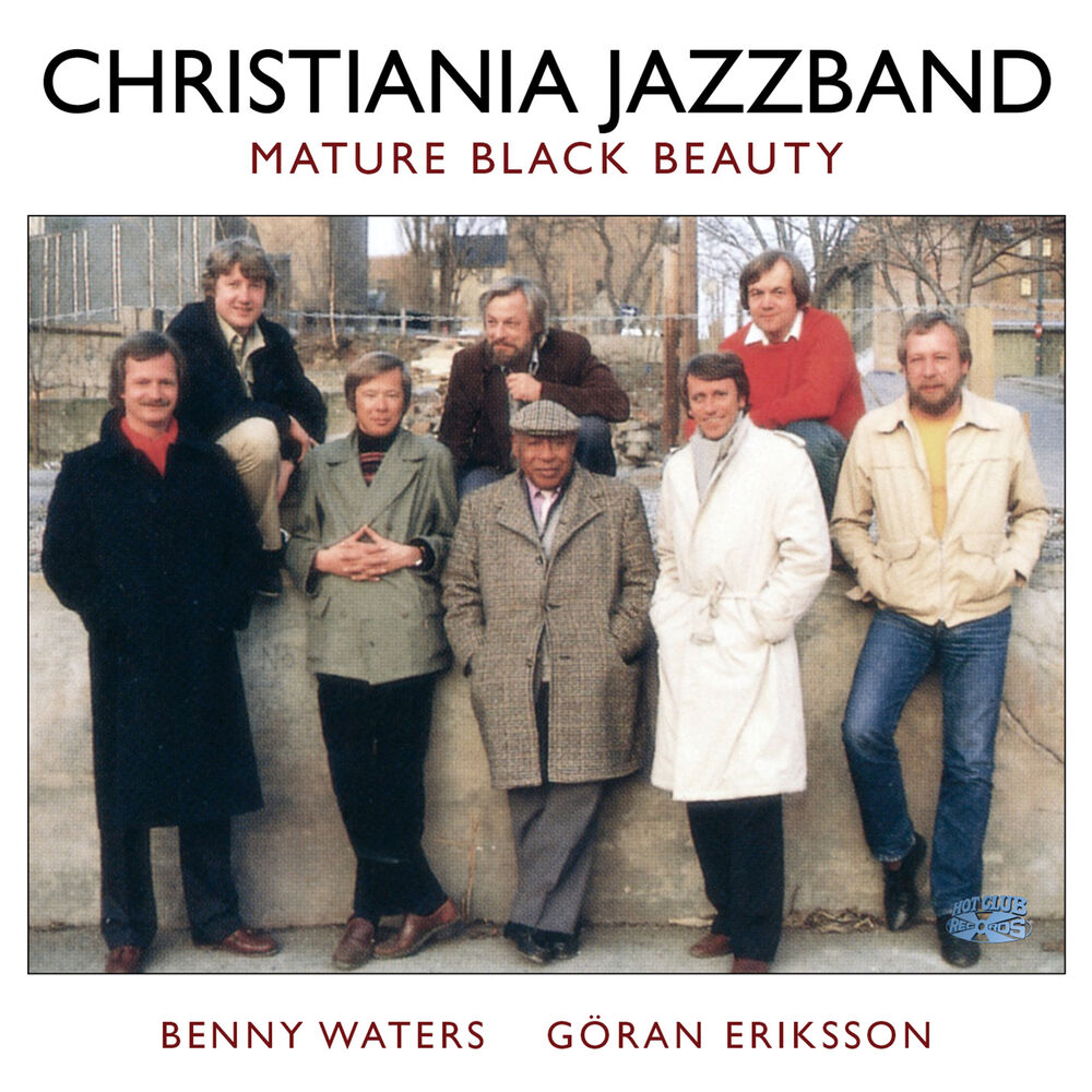 Picture of Mature Black Beauty