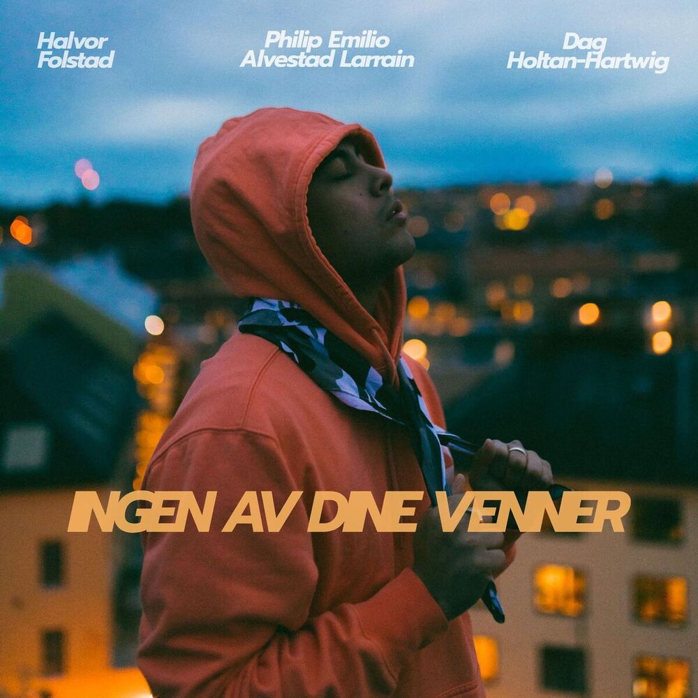 Picture of Ingen av dine venner
