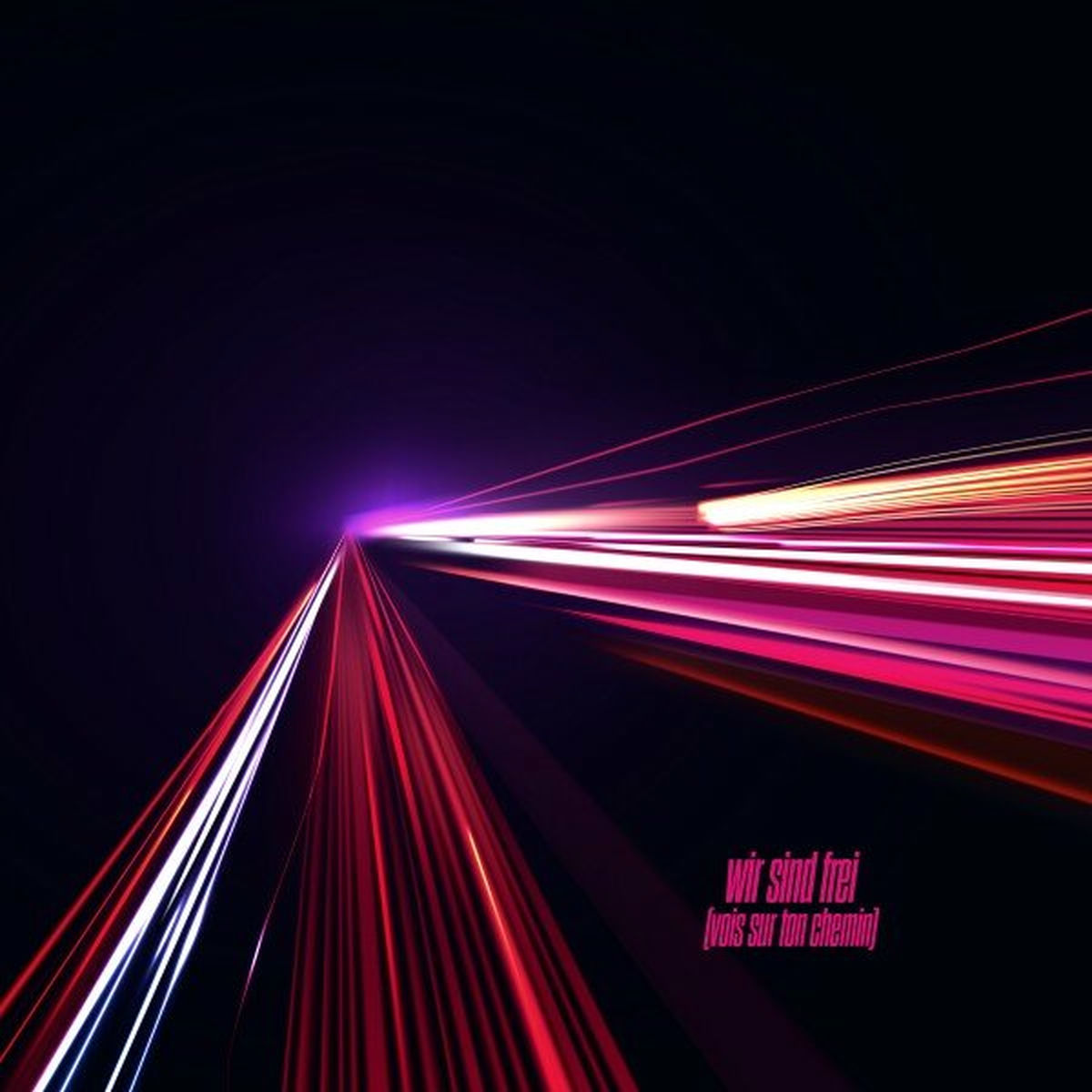 Album cover of Wir sind frei (Vois sur ton chemin)