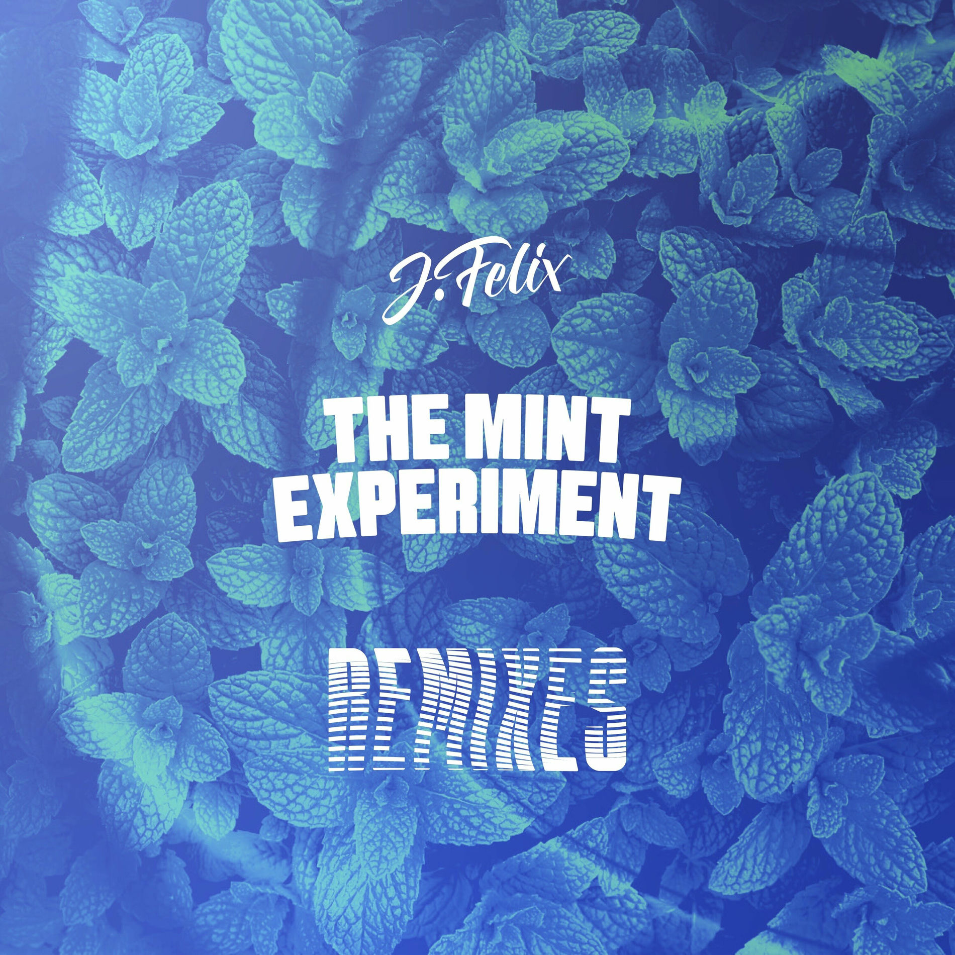 Album cover of THE MiNT EXPERiMENT Remixes