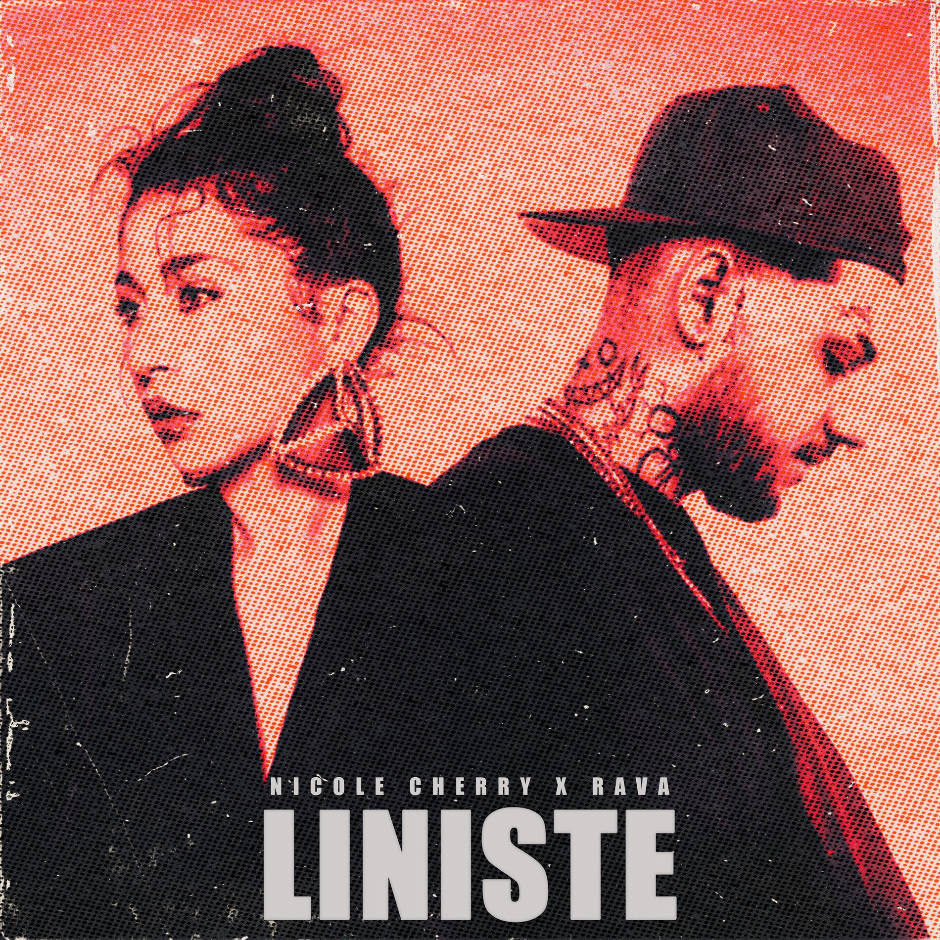 Album cover of Liniște