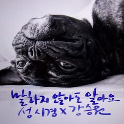 Cover of You don't have to say anything (I already know)