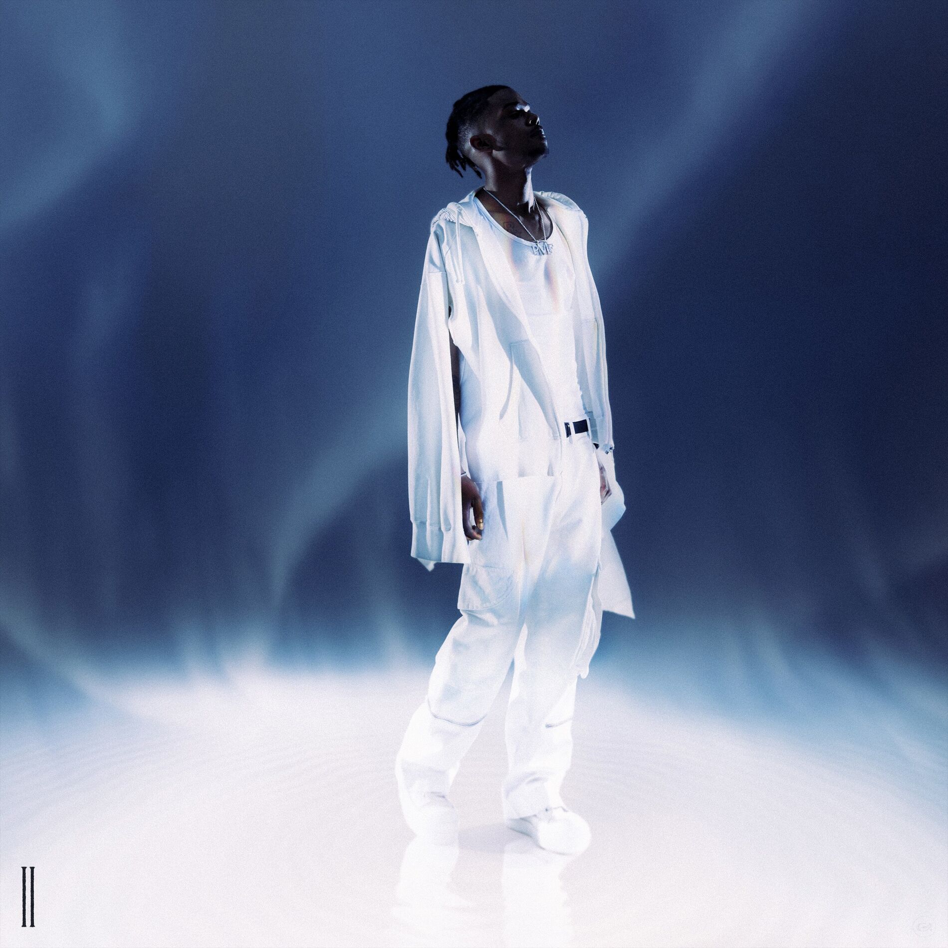 Album cover of TOUT ÇA