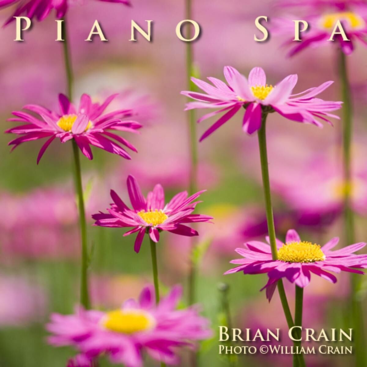 Album cover of Midsummer Night