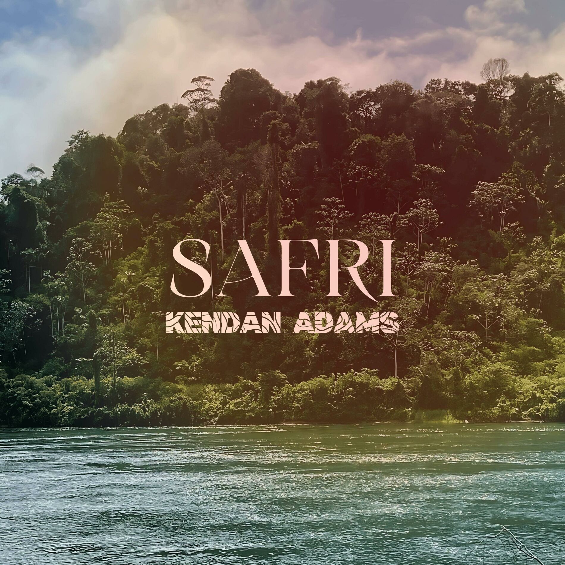 Album cover of Safri