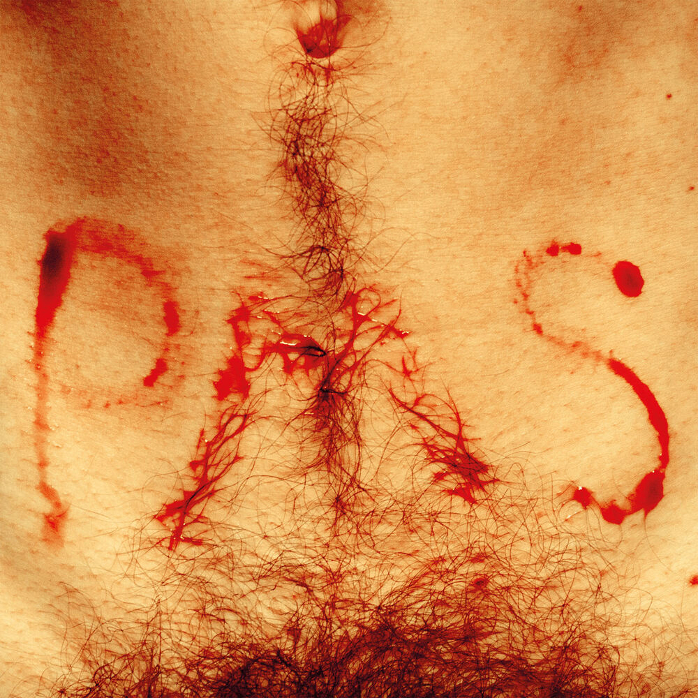 Picture of Pms