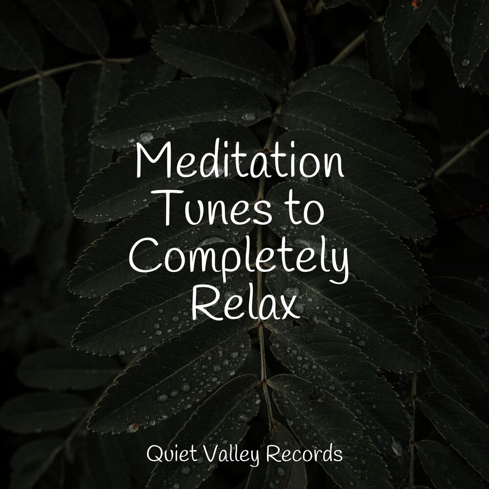 Picture of Meditation Tunes to Completely Relax