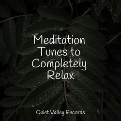 Cover of Meditation Tunes to Completely Relax