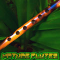 Nature Flutes (Relaxation, Healing, Meditation, Yoga, Focus)