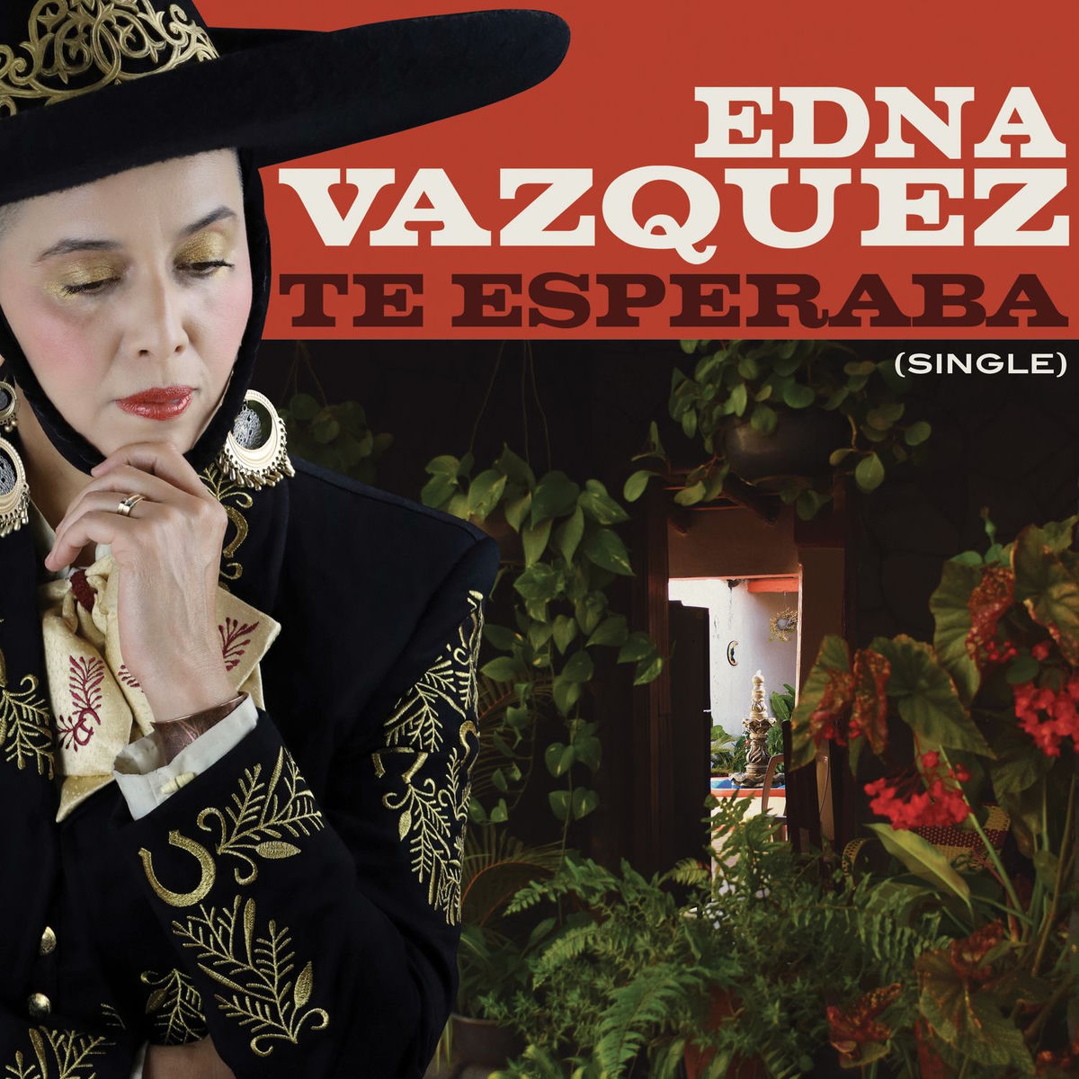 Album cover of Te Esperaba