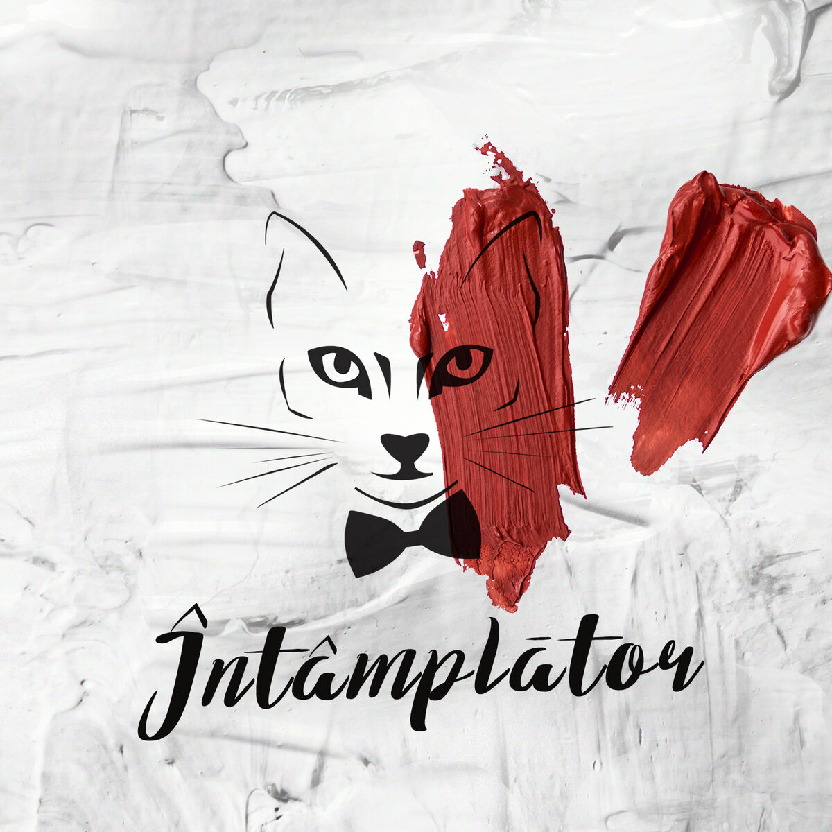 Album cover of Intamplator