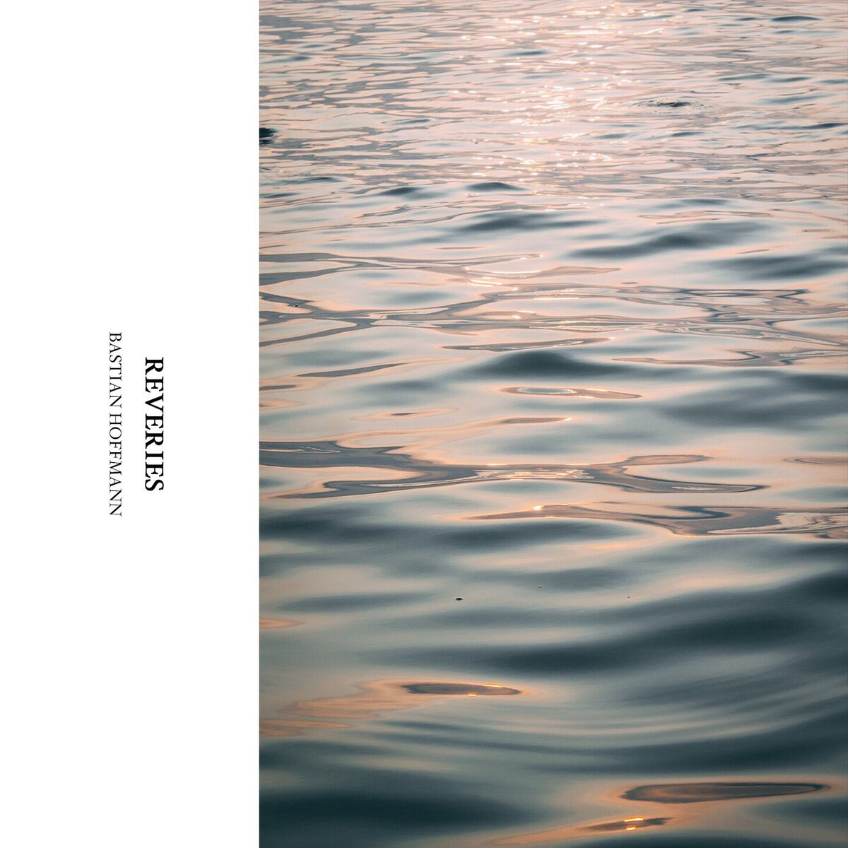 Album cover of Rêveries