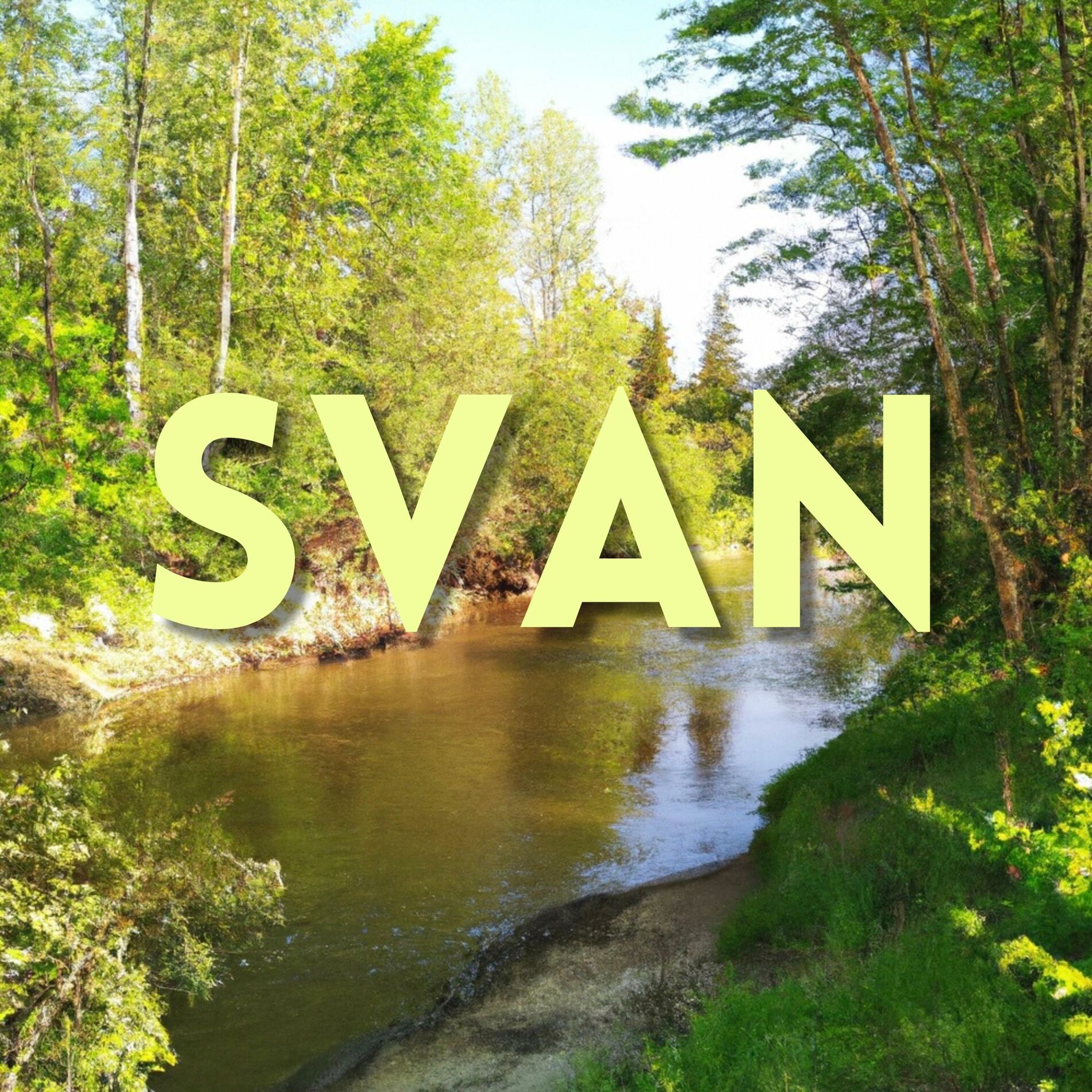 Album cover of SVAN (feat. Nissim Black)
