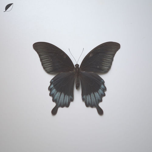 All Comes / Notes sleeve