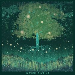 Cover of Never Give Up
