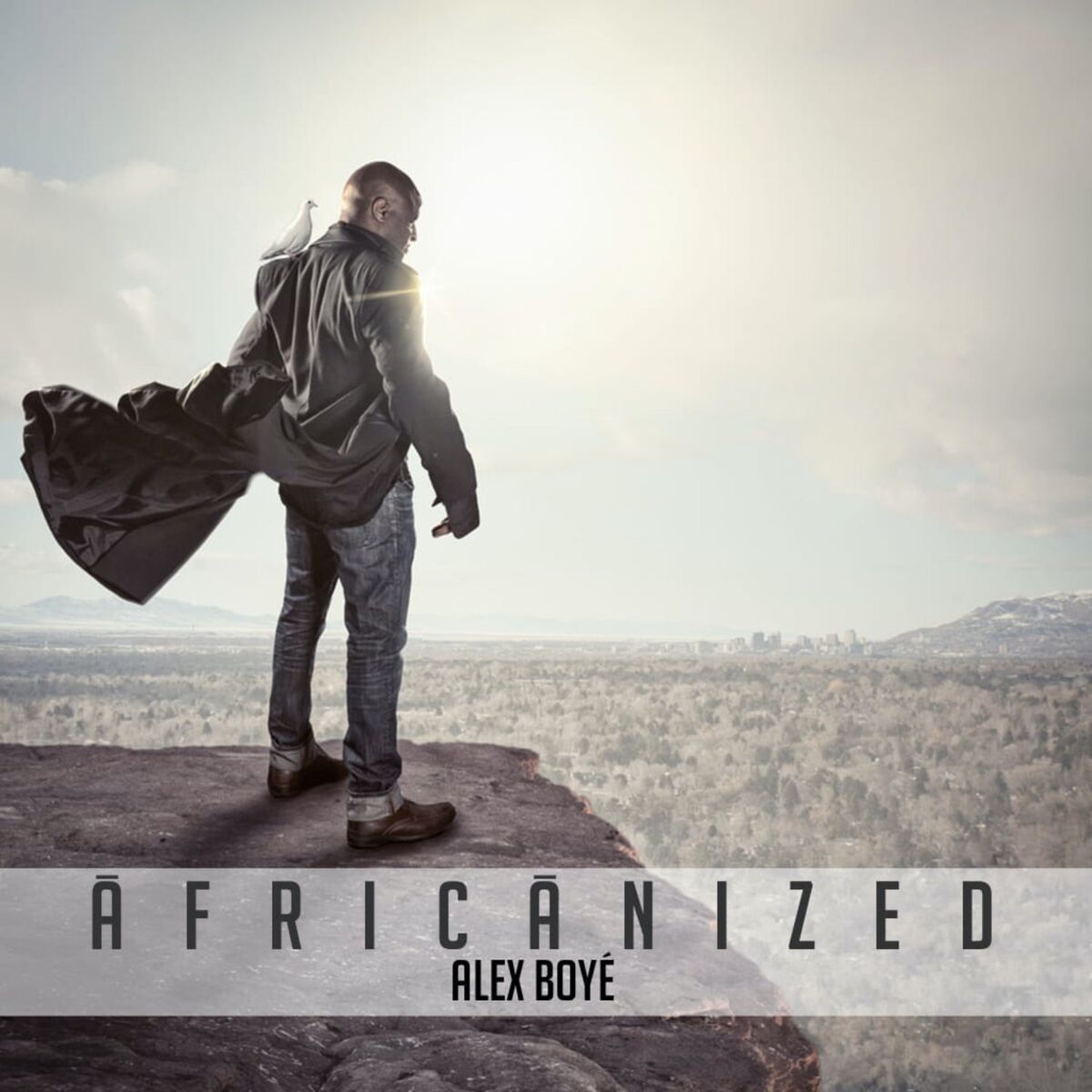 Album cover of Africanized