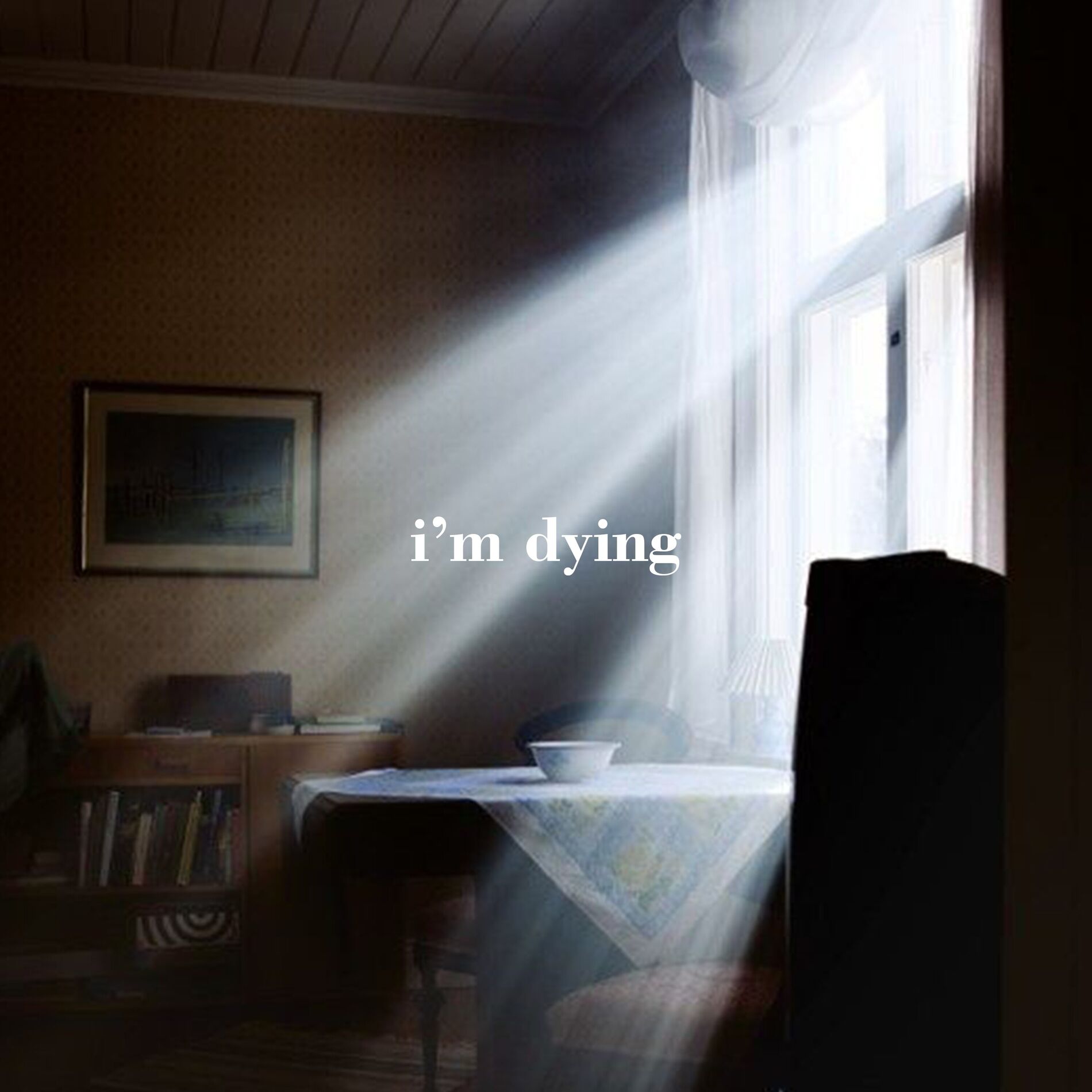 Album cover of i'm dying