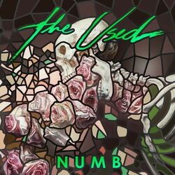 Cover of Numb