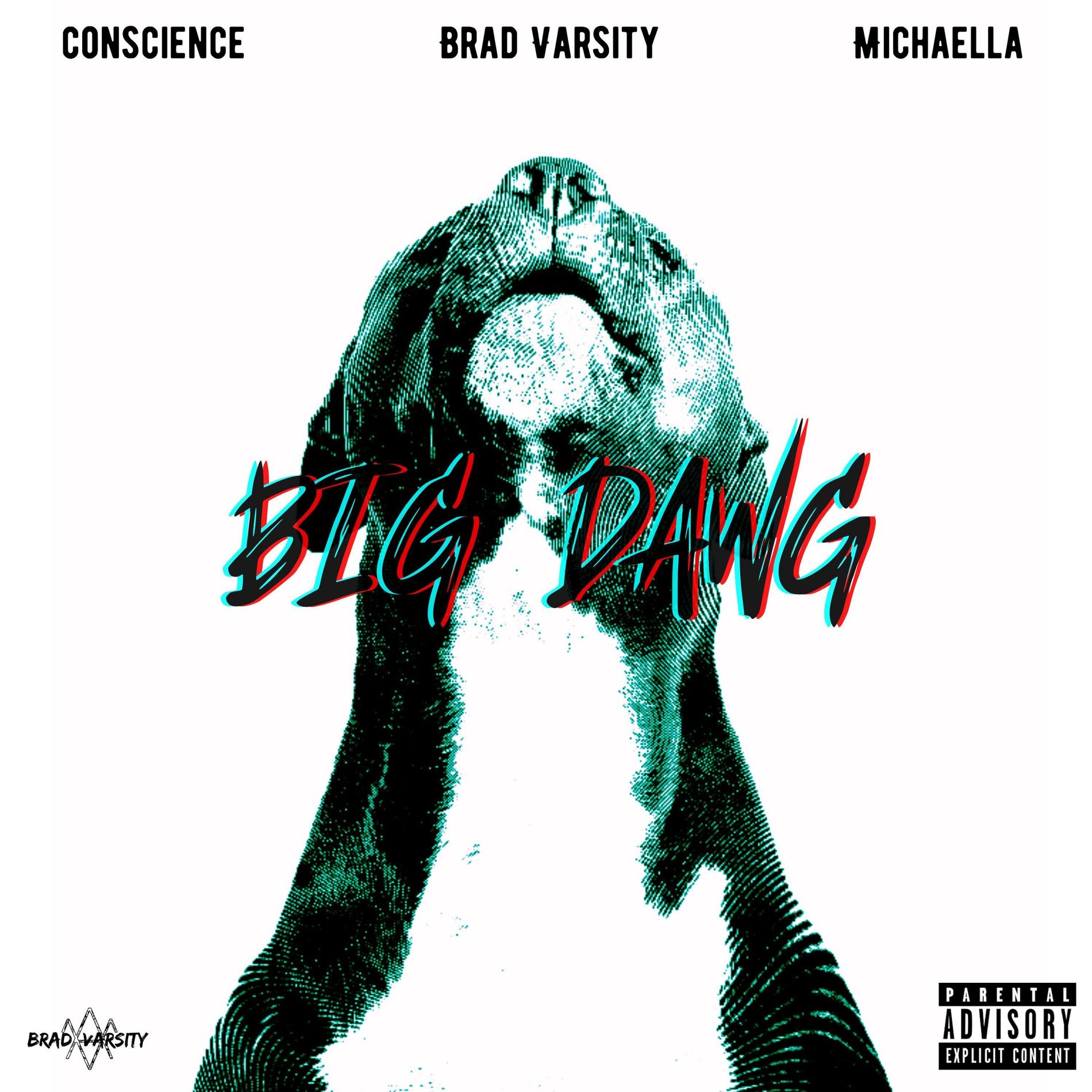 Album cover of BIG DAWG