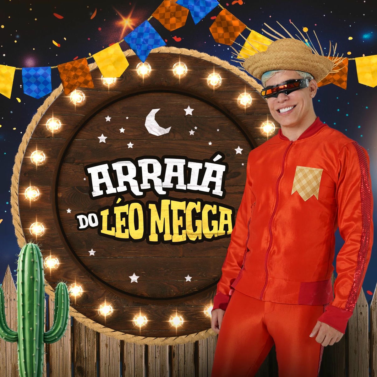 Album cover of Arraiá Do Léo Megga