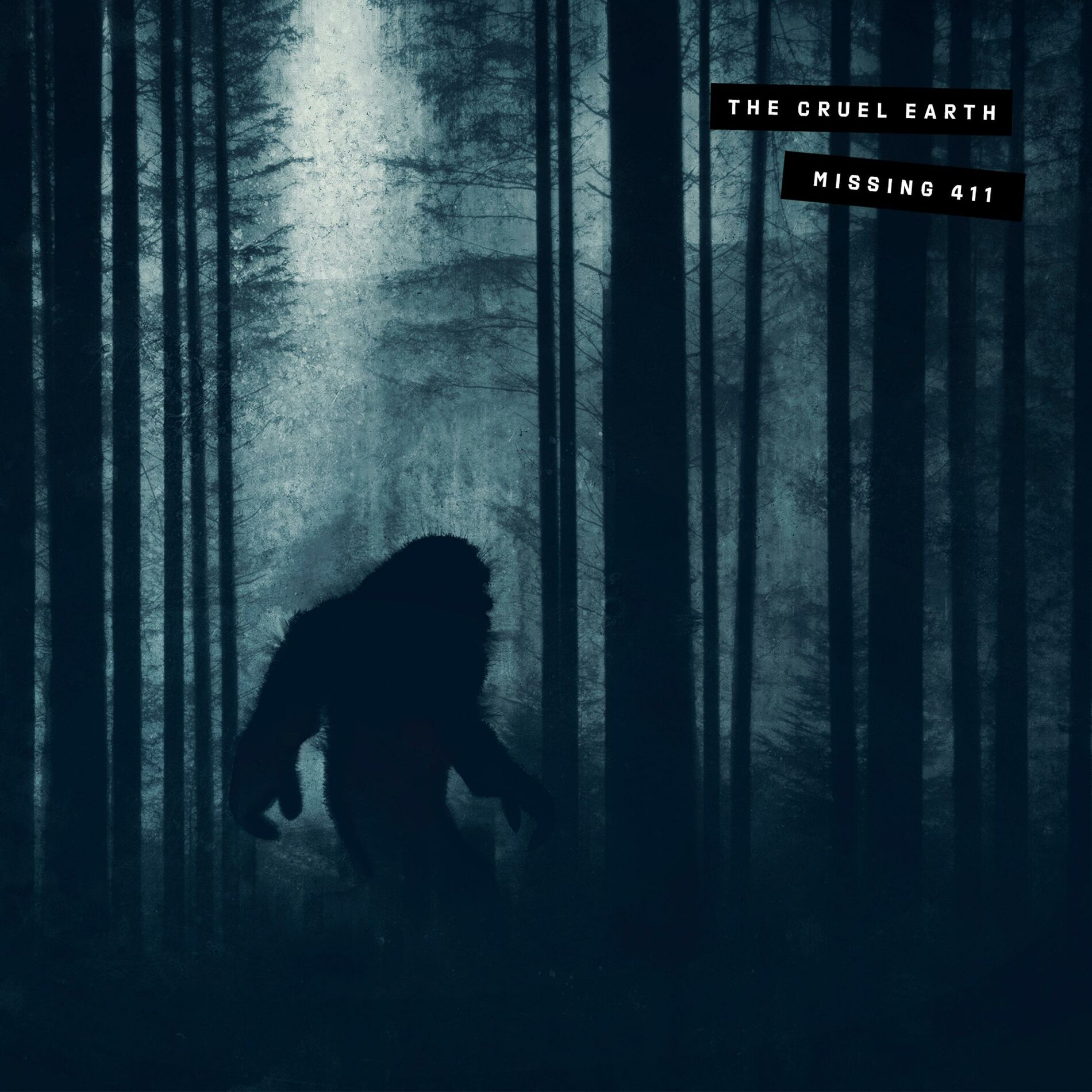 Album picture of Missing 411