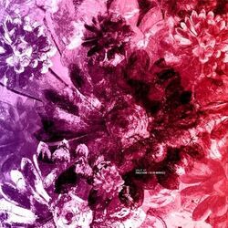 Cover of Split EP