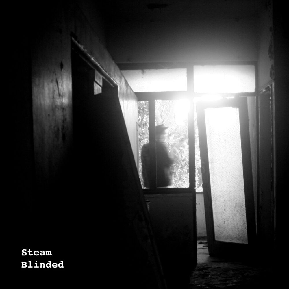 Picture of Blinded
