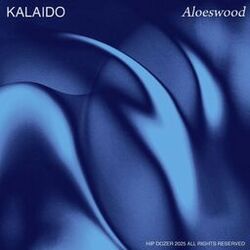 music cover