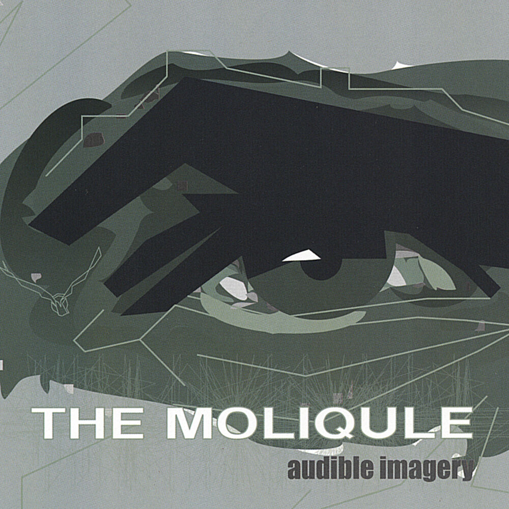 Picture of Audible Imagery