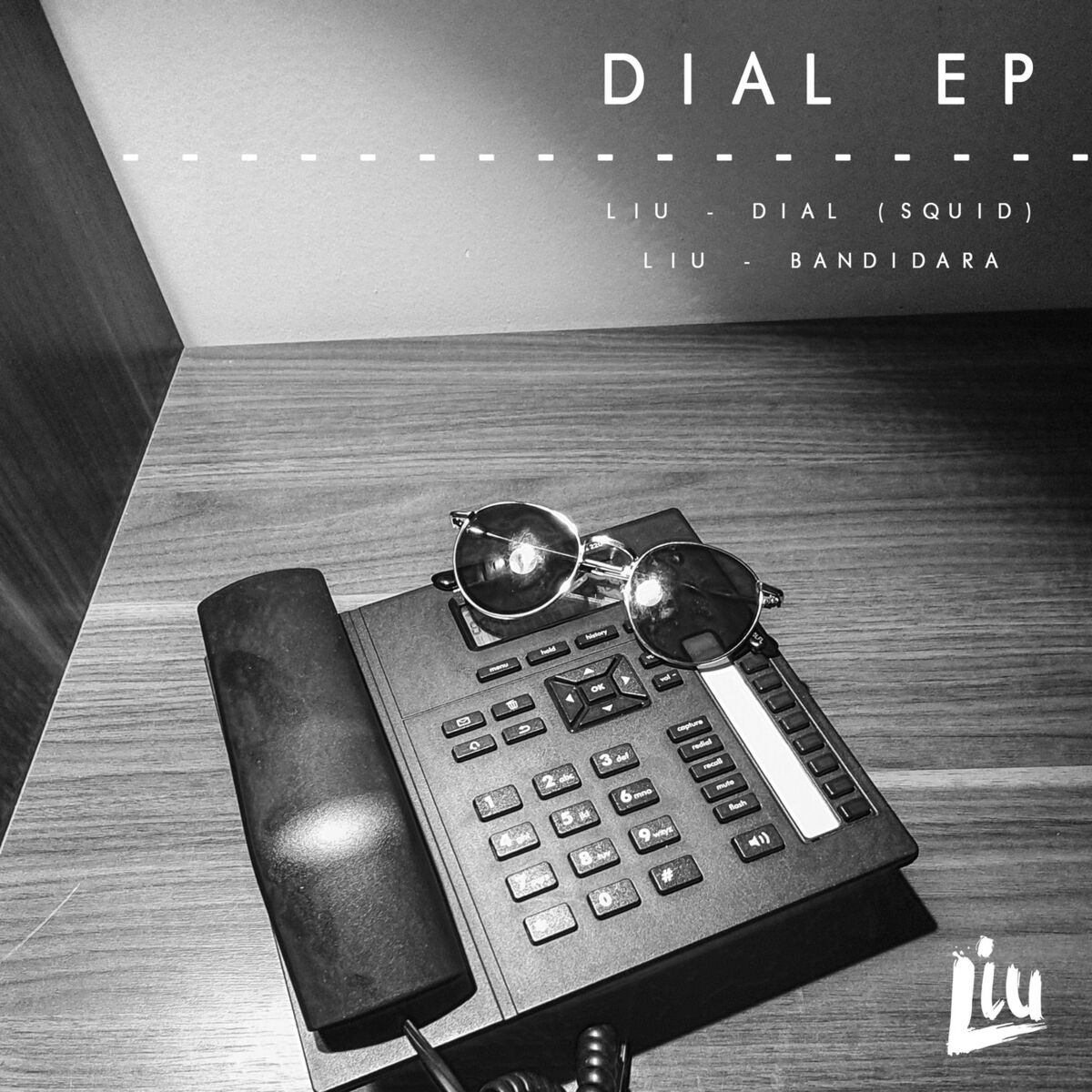 Album cover of DIAL