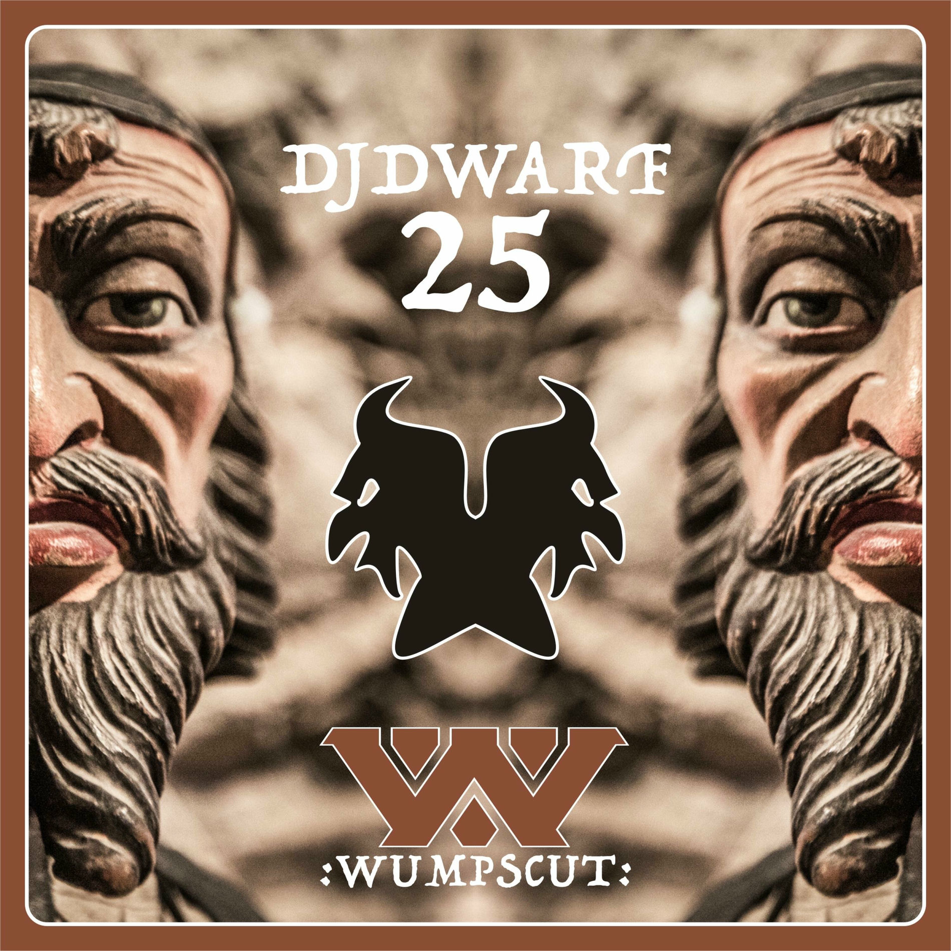 Album cover of DJ Dwarf 25