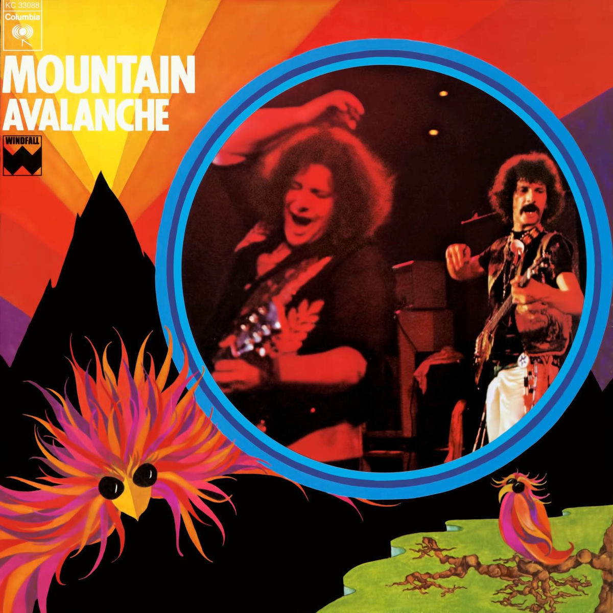 Album cover of Avalanche