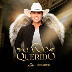 Cover of O Anjo Querido