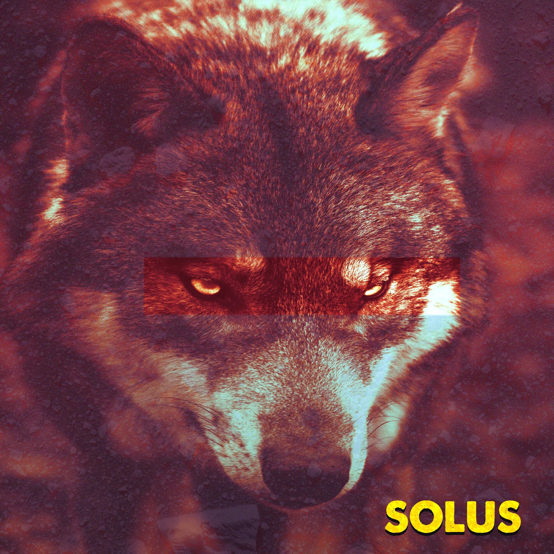 Album cover of Perdão