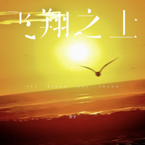 飞翔之上