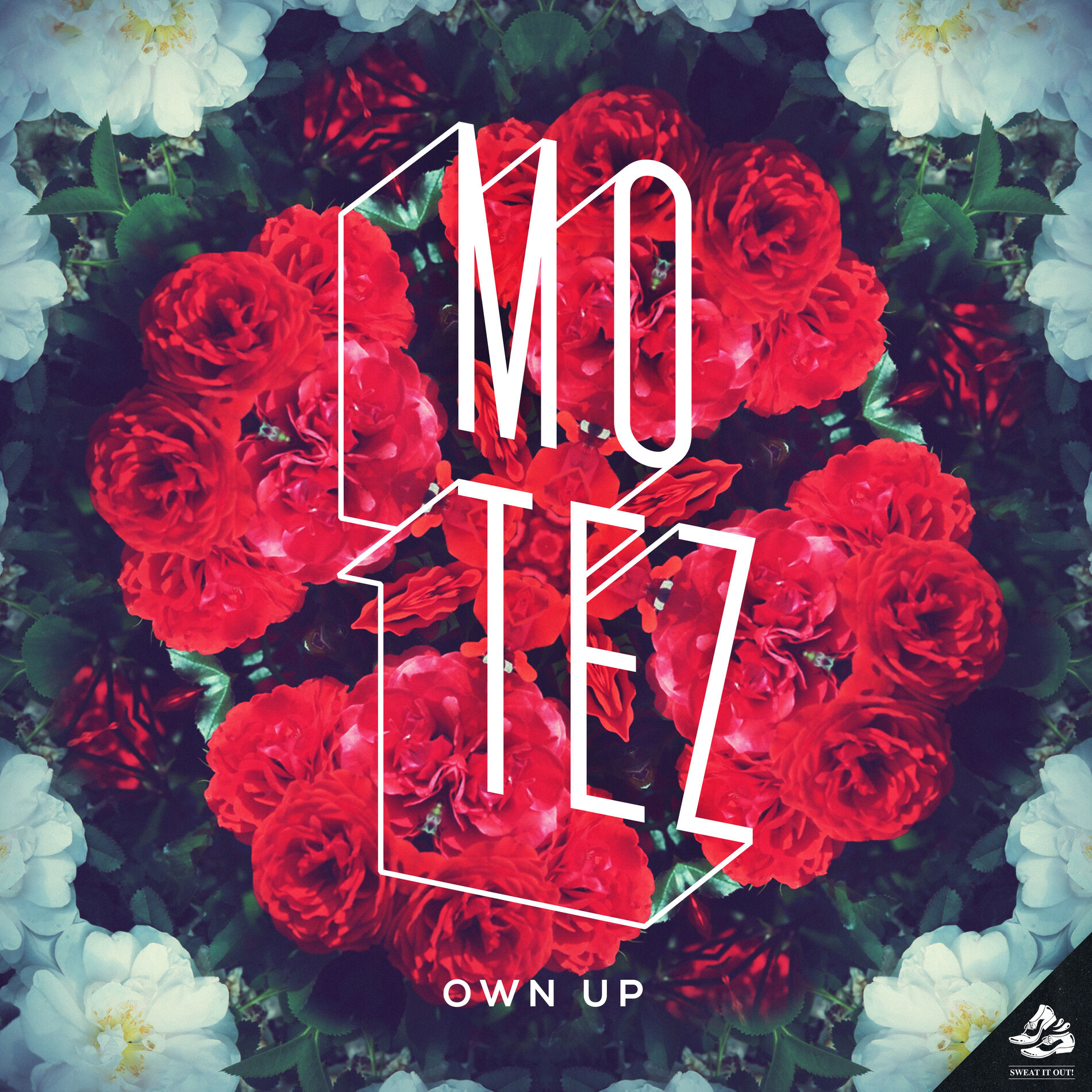 Album cover of Own Up