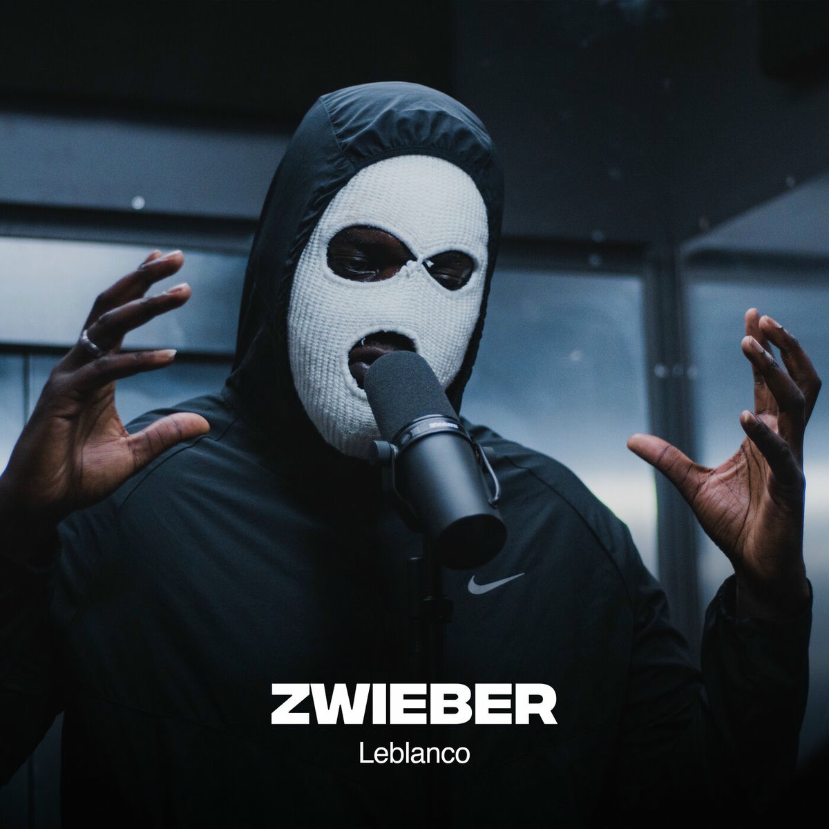 Album cover of Zwieber